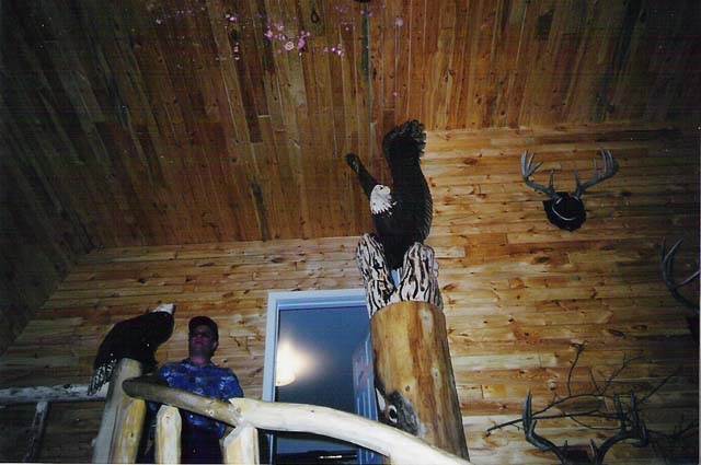 Eagle Inside Cabin